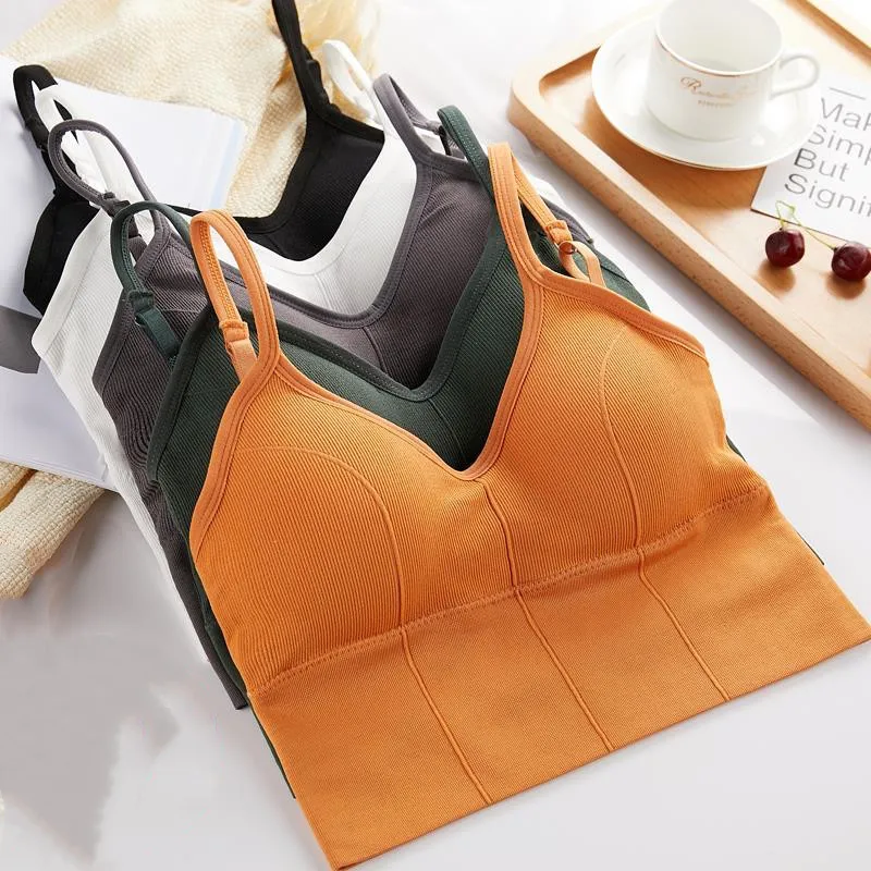 Comfortable Solid - Colored Sports Bras